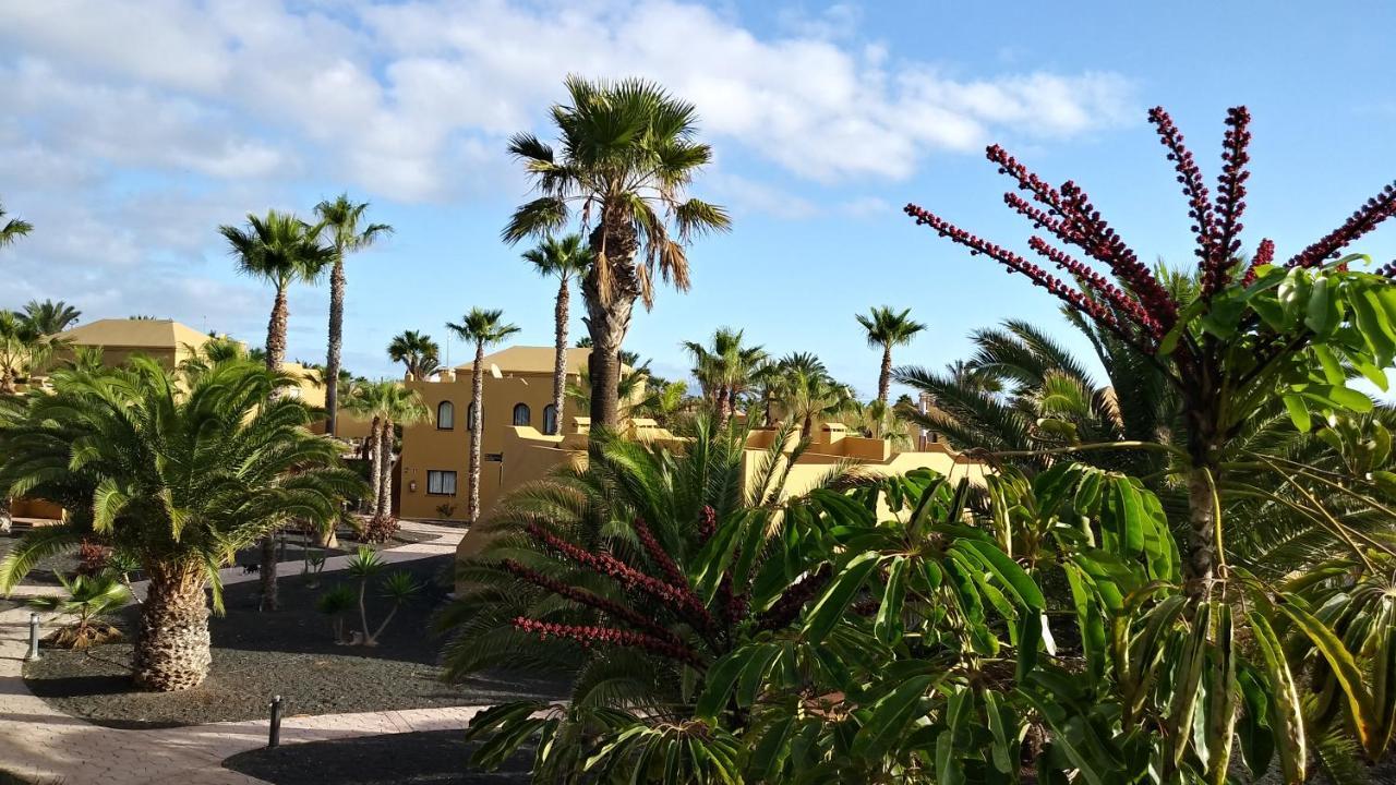 Casa Ilaria Fuerteventura -Wifi Free Apartment Corralejo Exterior foto